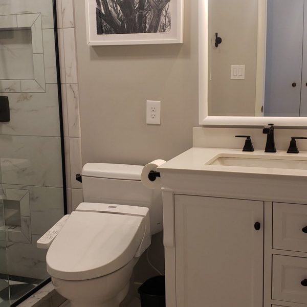 Mt Lebanon Pittsburgh Bathroom Remodel